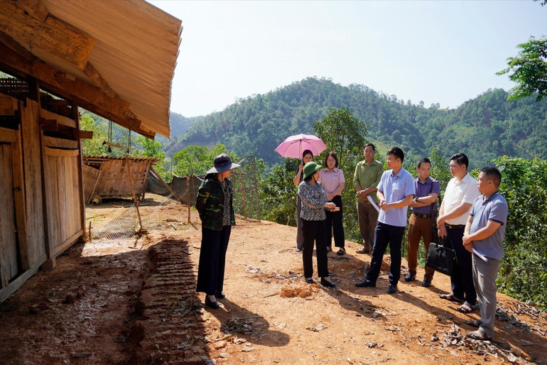 Chương trình xóa nhà tạm, nhà dột nát luôn nhận được sự quan tâm, chỉ đạo sát sao từ lãnh đạo tỉnh. dsc6784.jpg