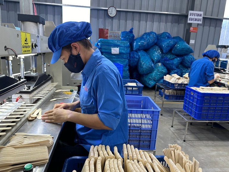 Gỗ rừng trồng của Bắc Kạn đã được nâng cao giá trị nhờ chế biến xuất khẩu. img-5386.jpg