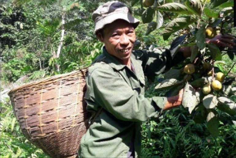 HTX Tân Phong (xã Quảng Bạch, huyện Chợ Đồn) kể câu chuyện sản phẩm hồng không hạt Quảng Bạch có đặc tính riêng biệt gắn liền với vùng đất trồng hồng. 6-2626.jpg
