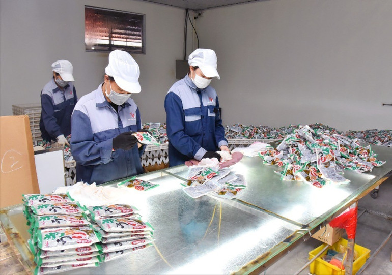 Công nhân Công ty TNHH MISAKI Việt Nam đóng gói, kiểm tra sản phẩm. Công-nghiệp-chế-biến-1.jpg