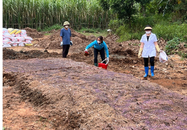 Các thành viên của HTX Tài Hoan được chuyên gia của Viện Cơ điện nông nghiệp và Công nghệ sau thu hoạch hướng dẫn xử lý cách ủ phân vi sinh từ bã dong riềng. ba-dong.jpg