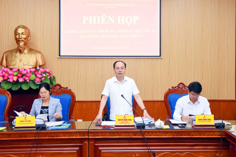 Đồng chí Chủ tịch UBND tỉnh Nguyễn Đăng Bình kết luận Phiên họp. hop-ub-4-8194-2687.jpg