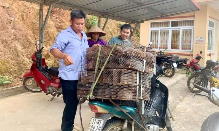 Người dân xã Lục Bình, huyện Bạch Thông nhận con giống của dự án hỗ trợ phát triển sản xuất thuộc Chương trình MTQG năm 2024. 1212-6d8b25bdf6d2.jpg