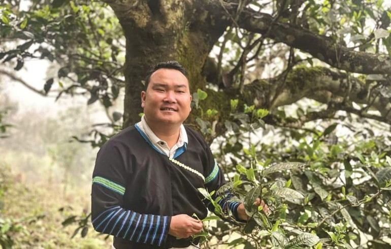 Anh Sùng A Tủa - tuyên truyền viên cơ sở xã Phình Hồ, huyện Trạm Tấu, tỉnh Yên Bái. Anh Sùng A Tủa - tuyên truyền viên cơ sở xã Phình Hồ, huyện Trạm Tấu, tỉnh Yên Bái.
