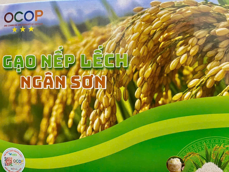 Sản phẩm gạo Nếp Lếch Ngân Sơn được chứng nhận sản phẩm OCOP 3 sao. Ảnh: NGUYỄN NGHĨA khau-nua-nech.jpg