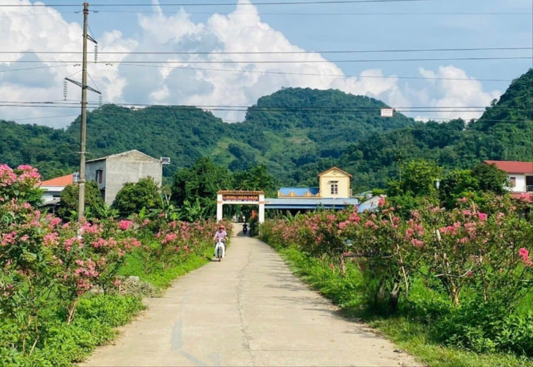 Con đường nông thôn mới khang trang. a1-ntm.jpg