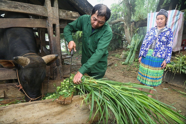 Gia đình ông La Văn Sinh, thôn Khuổi Luông, xã Hiệp Lực (Ngân Sơn) thuộc diện hộ nghèo, được vay vốn ưu đãi để phát triển kinh tế. giam-ngheo-ns-6106-9702.jpg