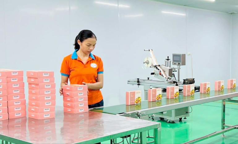 Quy trình đóng gói sản phẩm tại Công ty Cổ phần Công nghệ dược liệu Bắc Hà (TP. Bắc Kạn). bac-ha-1.jpg