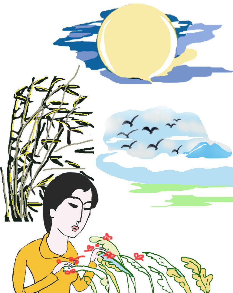 Minh họa Q.D 3.jpg
