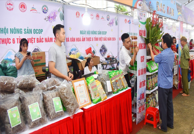 HTX Tài Hoan tích cực tham gia xúc tiến thương mại truyền thống và trên các nền tảng số nhằm mở rộng thị trường tiêu thụ các sản phẩm miến dong. tai-hoan-2.jpg