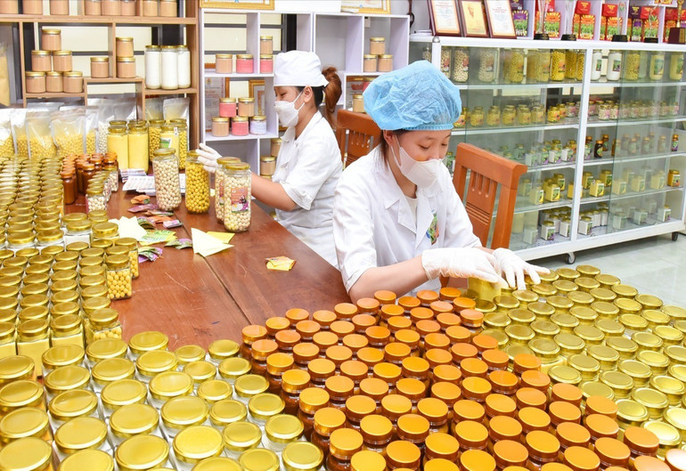 Hoạt động sản xuất tại HTX Tân Thành (TP. Bắc Kạn). htx-tan-thanh.jpg