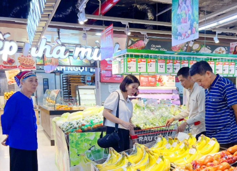 Các trung tâm thương mại, siêu thị, cửa hàng tiện lợi... trên địa bàn tỉnh đảm bảo ổn định giá cả hàng hóa. Trong ảnh: Hoạt động mua sắm tại Siêu thị WinMart. Giá cả thị trường.jpg