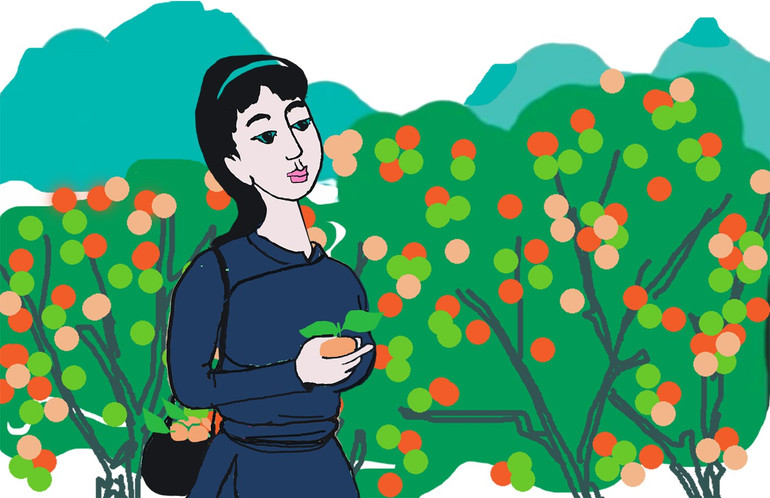 Minh họa Q.D 04.jpg