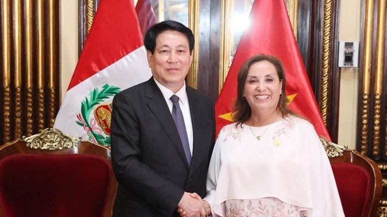 Chủ tịch nước Lương Cường và Tổng thống Peru Dina Ercilia Boluarte Zegarr. (Ảnh: Lâm Khánh/TTXVN) 42.jpg