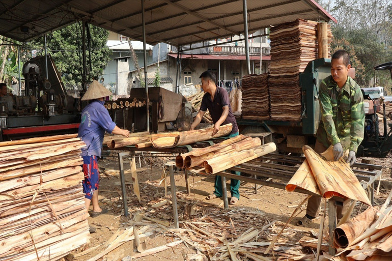 Mặt hàng ván bóc của không ít cơ sở cũng đối mặt với khó khăn vì nguyên liệu đầu vào tăng. van-boc.jpg