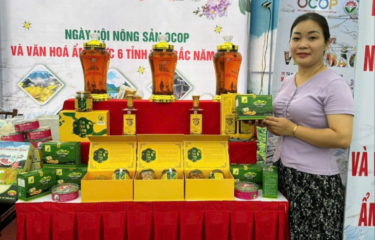 Sản phẩm Trà hoa vàng An Bình của HTX An Bình được sản xuất theo tiêu chuẩn sạch, an toàn. tra-ho-vang.jpg