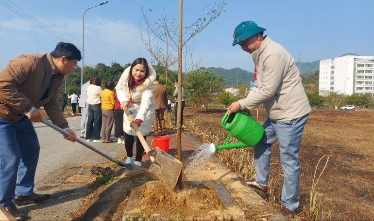 Cán bộ, đoàn viên Công đoàn Bệnh viện Đa khoa tỉnh Bắc Kạn trồng cây đầu năm 2025, bảo đảm môi trường xanh, sạch. trong-cay-benh-vien.jpg