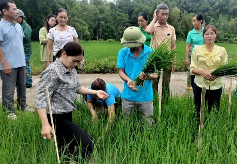 Bà con nông dân xã Đại Sảo, huyện Chợ Đồn được hướng dẫn quy trình sản xuất theo hướng hữu cơ. nha-kinh.jpg