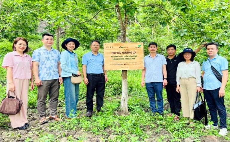 Sở Khoa học và Công nghệ phối hợp kiểm tra mô hình thí điểm phát triển kinh tế nông nghiệp sáng tạo gắn với du lịch tại thôn Nà Chom, xã Quảng Khê. na-chom.jpg