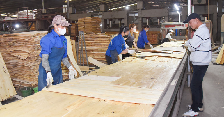 Hoạt động sản xuất, chế biến ván ép của Công ty Cổ phần Đầu tư Govina tại Khu Công nghiệp Thanh Bình (Chợ Mới). 82.jpg