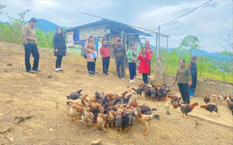 Cán bộ HND các cấp thăm mô hình nuôi gà tại xã Nông Hạ (Chợ Mới). z6442321431572-7efe36b150662bed541e679decfbe8b8.jpg