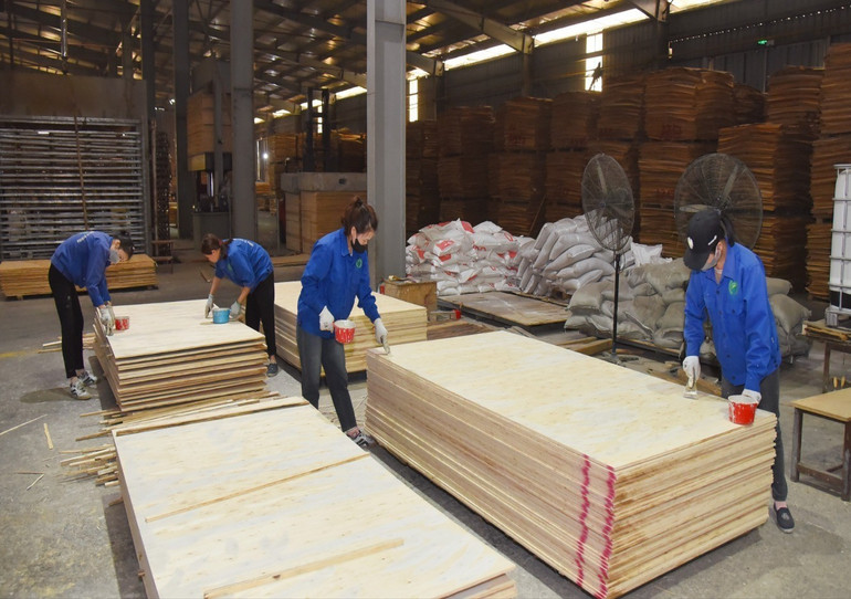 Hoạt động sản xuất ván ép của Công ty Cổ phần Đầu tư Govina tại Khu Công nghiệp Thanh Bình (Chợ Mới). govina.jpg