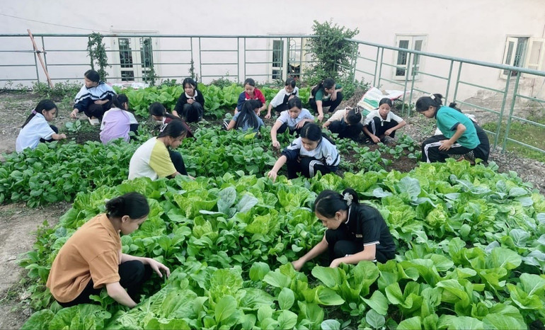 Học sinh Trường PTDT Nội trú huyện Na Rì chăm sóc vườn rau sau khi hết giờ học. 486367036-1164318528824679-826239947287893271-n.jpg