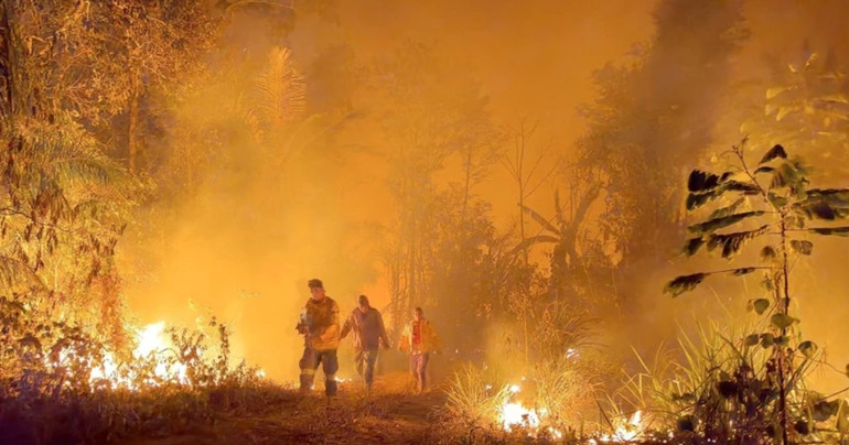 Ảnh minh họa. (Ảnh: AFP/TTXVN) screen-shot-2025-01-13-at-065830-2212-452.png