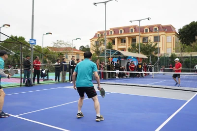 Giải Pickleball Khối Nội chính tỉnh Bắc Kạn mở rộng