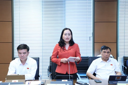 Quốc hội thảo luận ở hội trường và ở tổ về nhiều nội dung được trình tại kỳ họp
