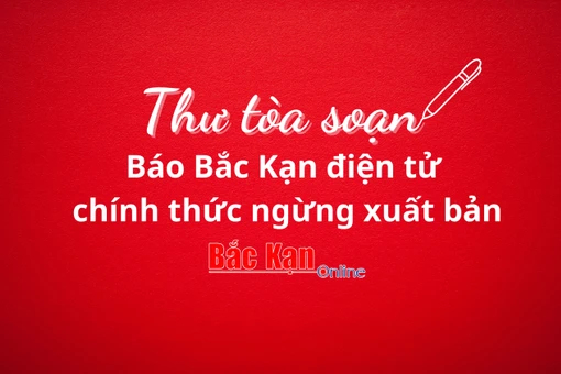 THƯ TÒA SOẠN