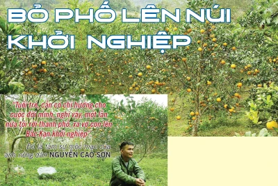 Bỏ phố lên núi khởi nghiệp