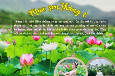 Mùa sen tháng 6