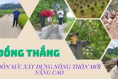 Đồng Thắng dồn sức xây dựng nông thôn mới nâng cao