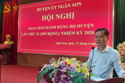 Hội Nghị Ban chấp hành Đảng bộ huyện Ngân Sơn (mở rộng)