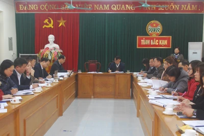 Triển khai nhiệm vụ công tác Hội và phong trào nông dân năm 2023