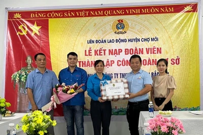 Tập trung phát triển đoàn viên, thành lập công đoàn cơ sở 