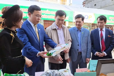 Tạo đà phát triển kinh tế, xã hội năm 2023