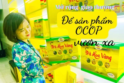 Mở rộng giao thương để sản phẩm OCOP vươn xa