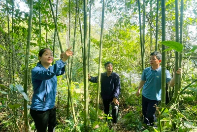 Chuẩn nghèo đa chiều thách thức Côn Minh cán đích xã nông thôn mới