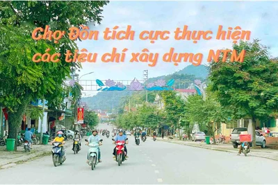 Chợ Đồn: Khẩn trương đẩy nhanh tiến độ các xã phấn đấu về đích nông thôn mới