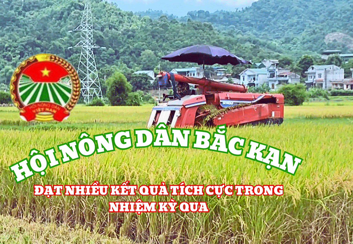 Hội Nông dân Bắc Kạn đạt nhiều kết quả trong nhiệm kỳ 2018-2023