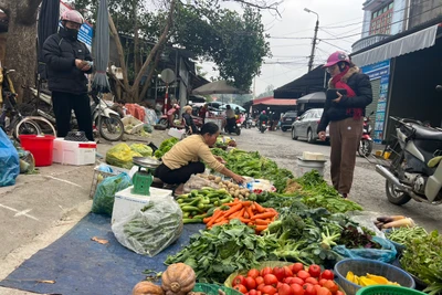 Giá thực phẩm bình ổn sau Tết Nguyên đán Giáp Thìn 