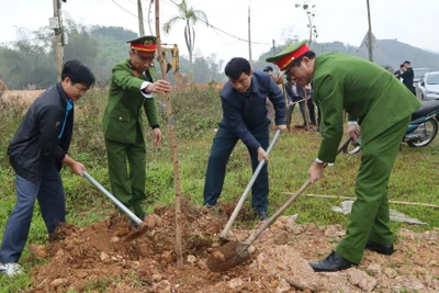 Na Rì tổ chức "Tết trồng cây đời đời nhớ ơn Bác Hồ” Xuân Giáp Thìn