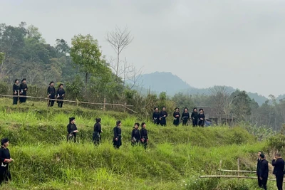 Tháng Ba về với "Chợ tình Xuân Dương"