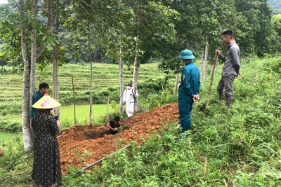 Nâng cao ý thức phòng, chống dịch tả lợn châu Phi