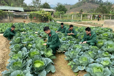 Những ngày đầu nhập ngũ của tân binh tại Trung đoàn bộ binh 750