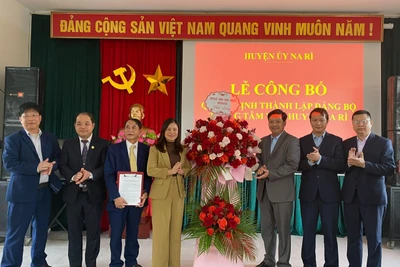 Công bố thành lập Đảng bộ Trung tâm Y tế huyện Na Rì 