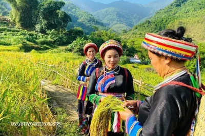 Vùng đồng bào dân tộc thiểu số Bắc Kạn khởi sắc nhờ các chương trình MTQG