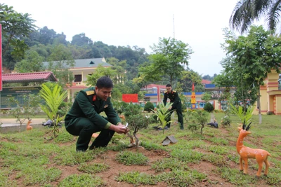 Khao quân hàm, nâng lương bằng “ghế đá, cây xanh, máy lọc nước”